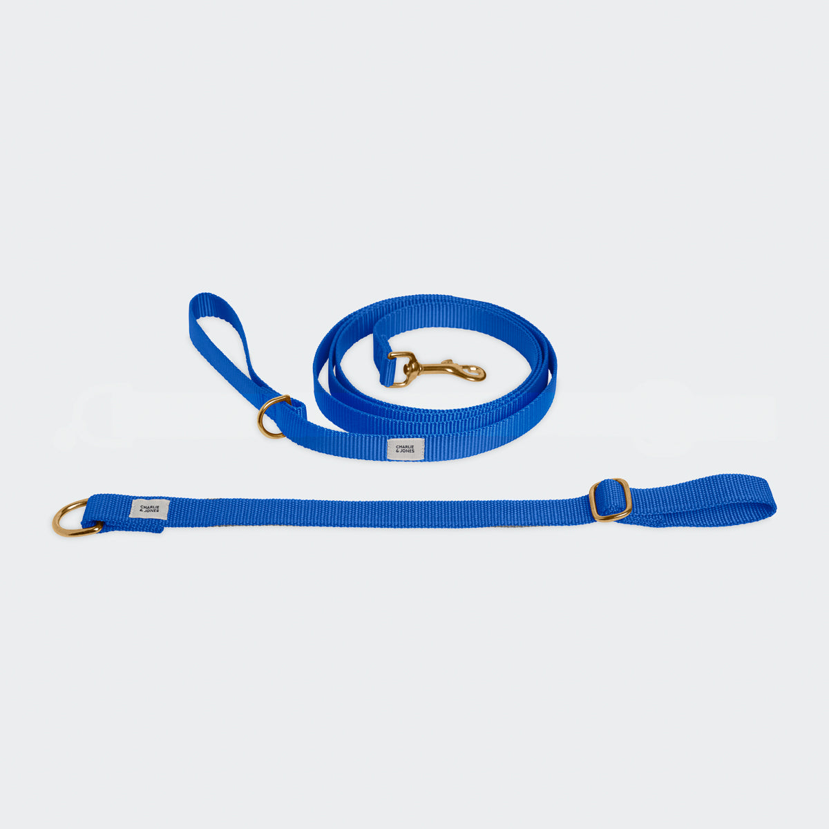 Leash with name Royal Blue