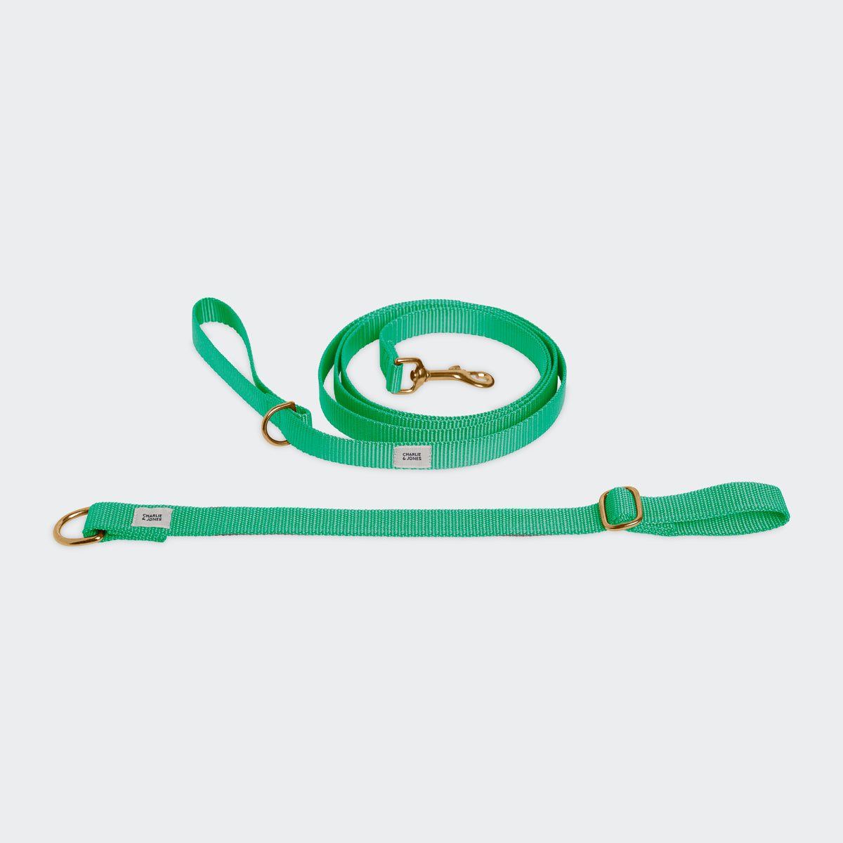 Leash with name Spring Green