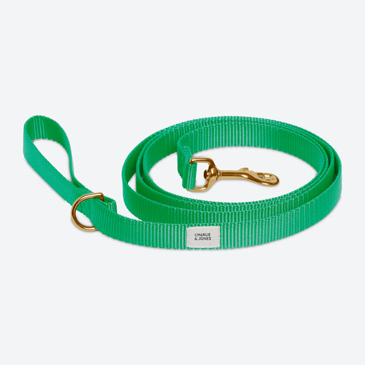 Belt with name Spring Green