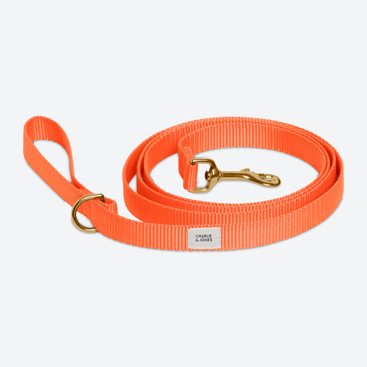 Belt with name Orange